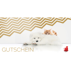 Hund Provital Werbematerial Zubehör Anifit 10 EUR Gutschein 1 Stück -2- Anifit